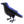 🐦‍⬛