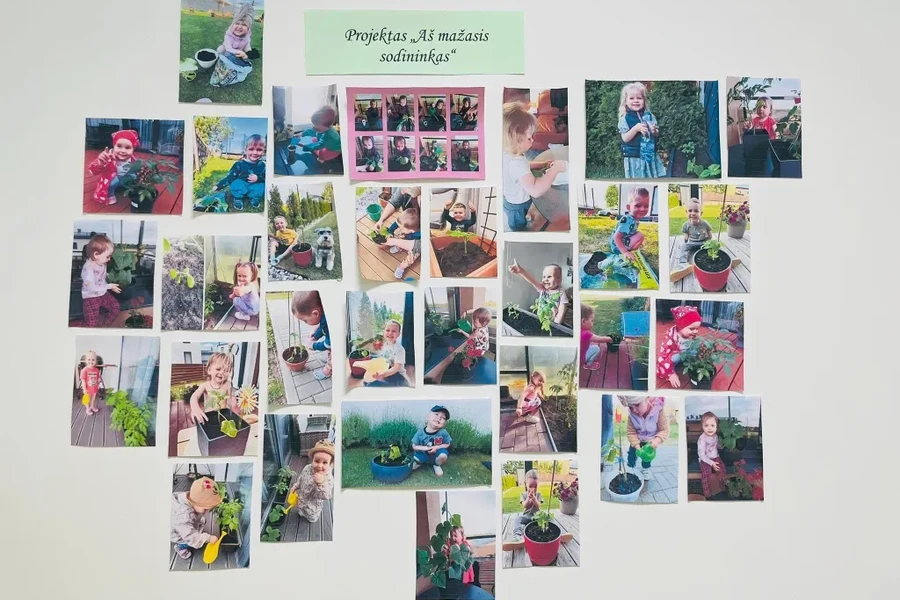 Pagrindinė naujienos nuotrauka