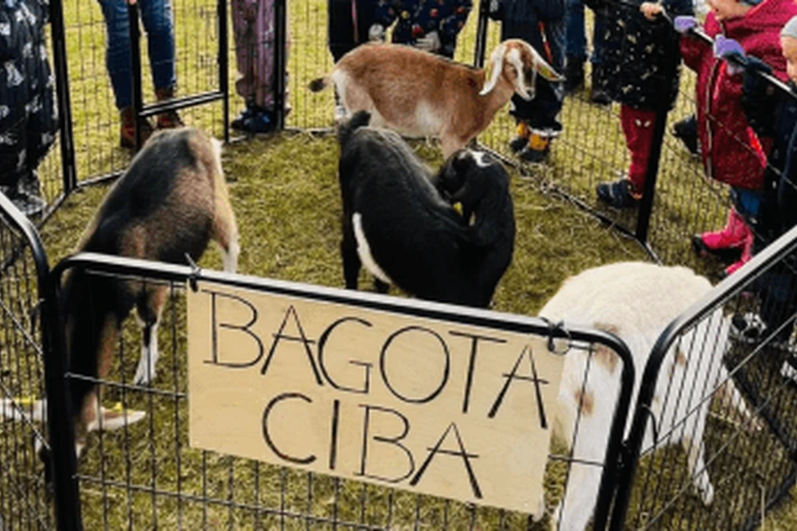 Pagrindinė naujienos nuotrauka