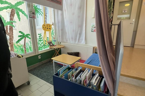 DARBO STEBĖJIMO VIZITAS ŠVEDIJOJE, GOTLANDO SALOJE (VISBYJE)