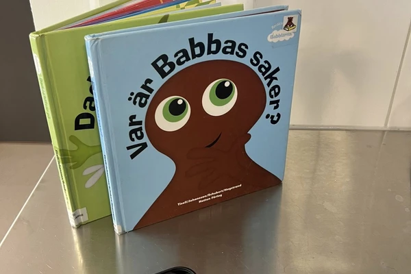 DARBO STEBĖJIMO VIZITAS ŠVEDIJOJE, GOTLANDO SALOJE (VISBYJE)
