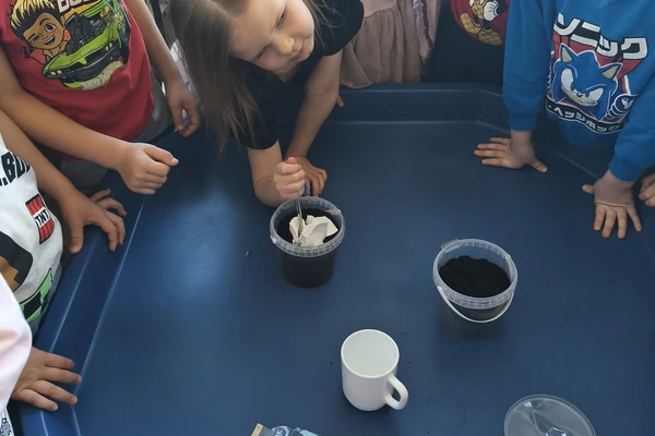 EKOEKSPERIMENTAI