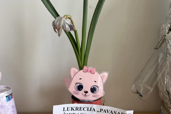 TVARUMO TEMA KŪRYBINĖJE PARODOJE
