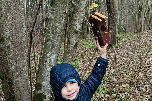 VAIKŲ, TĖVELIŲ IR DARŽELIO BENDRYSTĖ - PAGAMINTI INKILAI JAU ĮSIKŪRĖ MEDŽIUOSE!