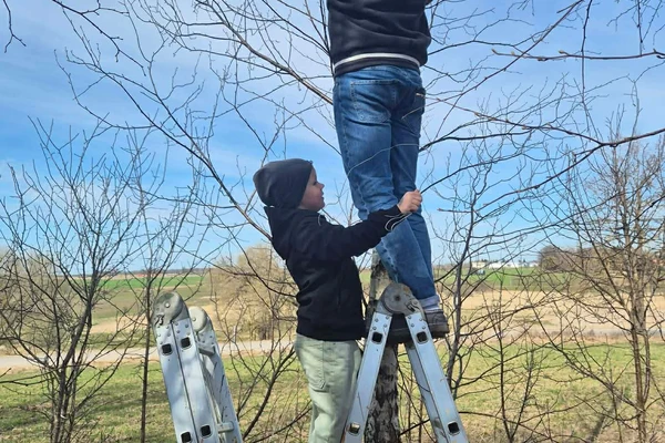 VAIKŲ, TĖVELIŲ IR DARŽELIO BENDRYSTĖ - PAGAMINTI INKILAI JAU ĮSIKŪRĖ MEDŽIUOSE!