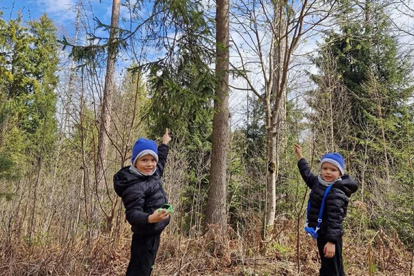 VAIKŲ, TĖVELIŲ IR DARŽELIO BENDRYSTĖ - PAGAMINTI INKILAI JAU ĮSIKŪRĖ MEDŽIUOSE!
